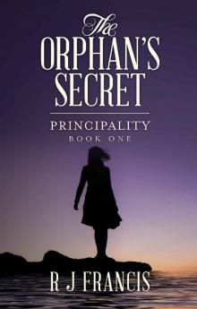 The Orphan's Secret Read online