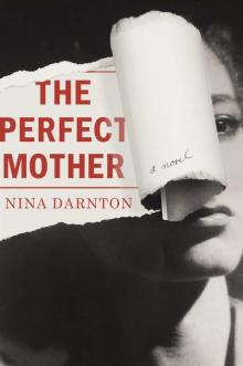 The Perfect Mother: A Novel Read online