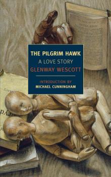 The Pilgrim Hawk Read online