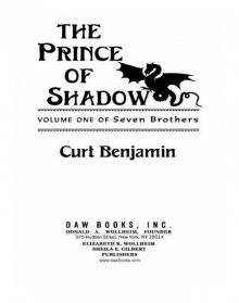 The Prince of Shadow Read online
