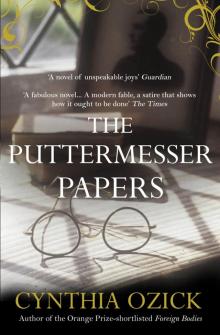 The Puttermesser Papers Read online
