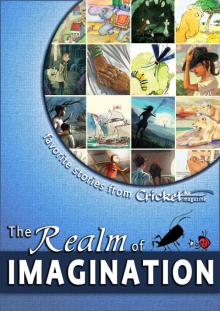 The Realm of Imagination Read online