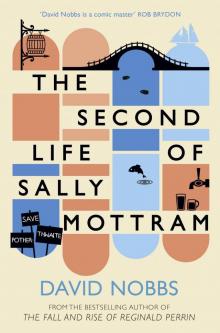 The Second Life of Sally Mottram Read online