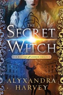 The Secret Witch Read online