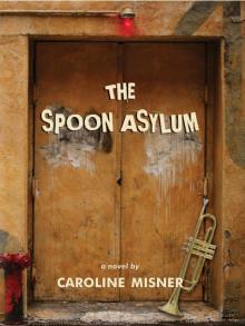 The Spoon Asylum