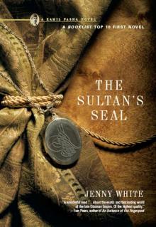 The Sultan's Seal: A Novel (Kamil Pasha Novels) Read online