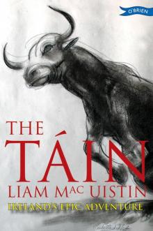 The Táin