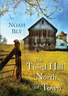 The Third Hill North of Town Read online