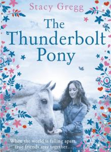The Thunderbolt Pony Read online