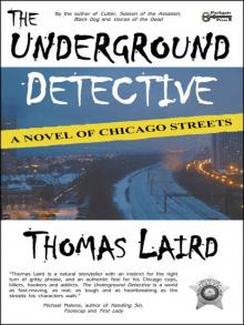 The Underground Detective: A Novel of Chicago Streets Read online