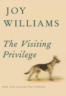 The Visiting Privilege Read online