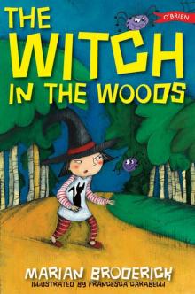 The Witch in the Woods Read online