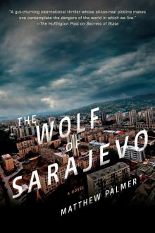 The Wolf of Sarajevo Read online
