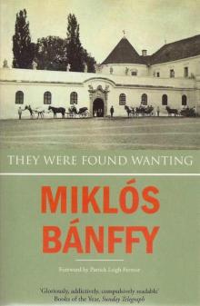 They Were Found Wanting (Writing on the Wall: The Transylvania Trilogy)