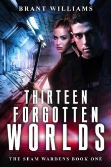 Thirteen Forgotten Worlds (Seam Wardens Book 1)
