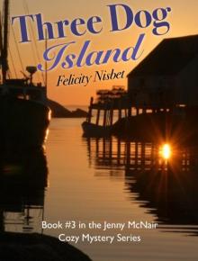 Three Dog Island Read online