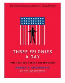 Three Felonies a Day