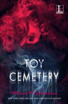 Toy Cemetery