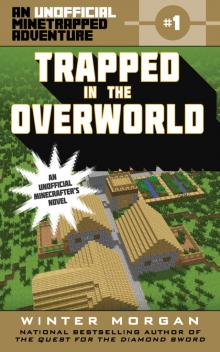 Trapped in the Overworld Read online