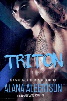TRITON: A Navy SEAL Romance (Heroes Ever After Book 2) Read online
