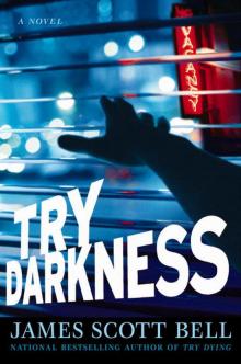Try Darkness Read online