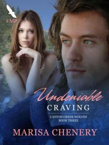 Undeniable Craving Read online