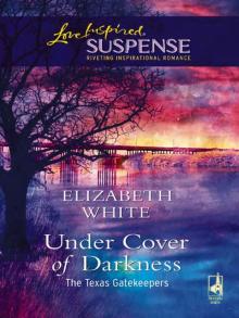 Under Cover Of Darkness Read online