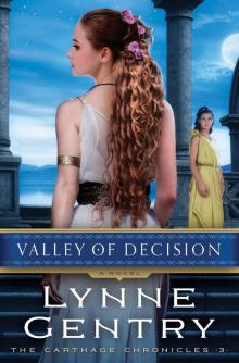 Valley of Decision Read online