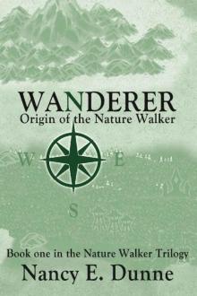 Wanderer Read online