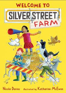 Welcome to Silver Street Farm Read online
