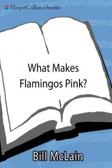 What Makes Flamingos Pink? Read online