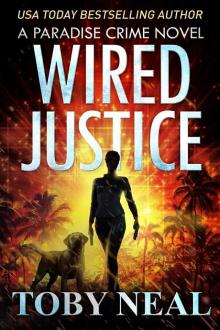 Wired Justice Read online