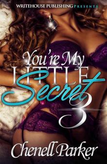 You're My Little Secret 3 Read online