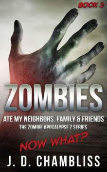 Zombies Ate My Neighbors, Family & Friends - Book 2 (Zombie Apocalypse Z Series)