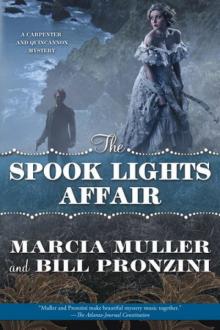 2 The Spook Lights Affair Read online