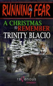 A Christmas to Remember Read online