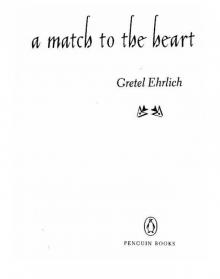 A Match to the Heart Read online
