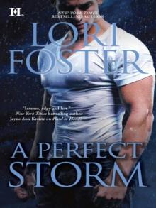 A Perfect Storm Read online