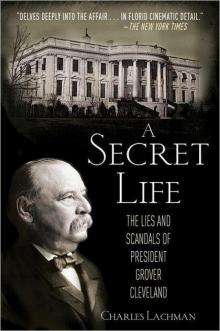 A Secret Life: The Lies and Scandals of President Grover Cleveland Read online