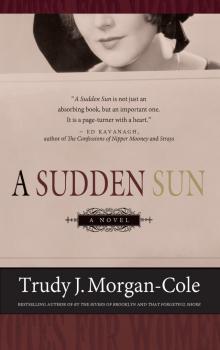 A Sudden Sun Read online