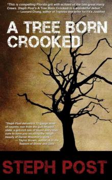 A Tree Born Crooked Read online