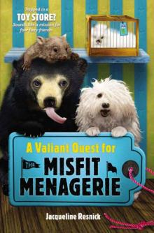 A Valiant Quest for the Misfit Menagerie Read online