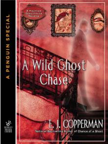 A Wild Ghost Chase Read online