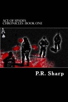 Ace of Spades Chronicles : Book One Read online