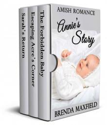 Amish Romance: Annie's Story: Three Book Box Set Read online