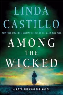 Among the Wicked: A Kate Burkholder Novel Read online