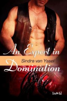 An Expert in Domination Read online