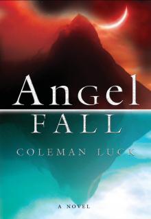 Angel Fall Read online