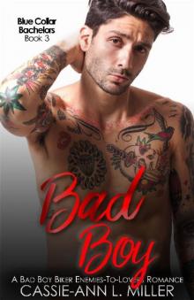 Bad Boy (Blue Collar Bachelors Book 3) Read online