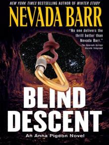 Blind Descent Read online